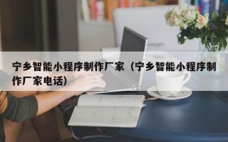 顺德宁乡智能小程序制作厂家（宁乡智能小程序制作厂家电话）
